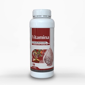vitamina-